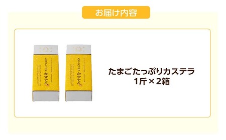 ココテラスのたまごたっぷりカステラ （一斤×2個） 和菓子 カステラ かすてら 焼き菓子 ザラメ 子どものおやつ おやつ ティータイム ギフト 手土産 贈り物 こだわりスイーツ デザート 高級 しっとり おもてなし お取り寄せ ご当地 愛知県 常滑市