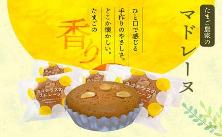 プリンとお菓子のデザートセット プリン カステラ マドレーヌ のし対応 洋菓子 焼き菓子 和菓子 お菓子 おやつ 詰合せ 贈答用 デイリーファーム プリン デザート スイーツ ココテラス なめらかプリン ギフト プレゼント 手土産 グルメ お取り寄せ 愛知県 常滑市