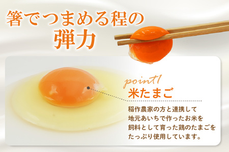 ココテラスのましかくカステラ（4個）6つセット 和菓子 カステラ 焼き菓子 ザラメ 子どものおやつ おやつ 卵 ティータイム 小分け 個包装 ギフト プチギフト プレゼント 贈り物 グルメ 手土産 こだわりスイーツ デザート お取り寄せ 愛知県 常滑市