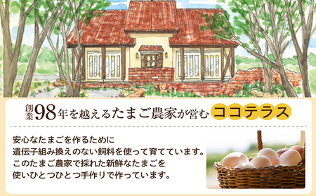 【冷凍便】ココテラスのシフォンケーキ 焼菓子 ふんわり 子どものおやつ おやつ お菓子 洋菓子 ケーキ ティータイム ギフト 手土産 プレゼント 贈り物 こだわりスイーツ デザート たまご 冷凍食品 お取り寄せ グルメ 愛知県 常滑市