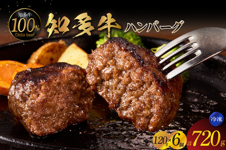 知多牛100％手作りハンバーグ　120g×6個入り 国産牛 牛肉 ハンバーグ 惣菜 肉汁たっぷり ブランド牛 グルメ 冷凍 簡単調理 煮込みハンバーグ デミグラスハンバーグ お取り寄せ 子供 人気 愛知県 常滑市