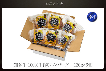 知多牛100％手作りハンバーグ　120g×6個入り 国産牛 牛肉 ハンバーグ 惣菜 肉汁たっぷり ブランド牛 グルメ 冷凍 簡単調理 煮込みハンバーグ デミグラスハンバーグ お取り寄せ 子供 人気 愛知県 常滑市