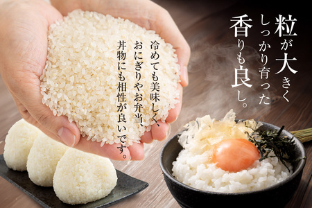 小ぶとりセット【太らせ上手(白米×2袋+八分付き)】