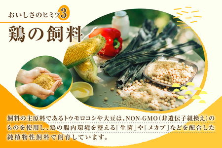 放し飼い米たまご15個+5個保証（計20個）農家直送 新鮮 卵 タマゴ 赤卵 玉子 鶏卵 朝食 夕食 夜食 朝ごはん たまご焼き オムレツ 卵ご飯 料理 濃厚 飼料にこだわった 卵かけご飯 米たまご 生卵 大容量 お取り寄せ 愛知県 常滑市