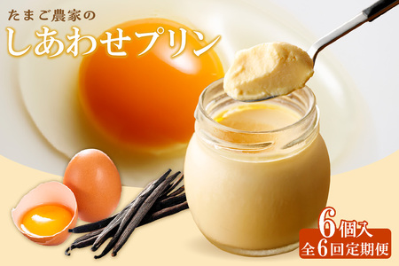 【定期便6ヶ月】たまご農家のしあわせプリン 6個セット デイリーファーム たまご 幸せ プリン 瓶入り デザート スイーツ おやつ 卵 鶏卵 ココテラス なめらかプリン 洋菓子 米卵 常滑牛乳 お菓子 ギフト プレゼント グルメ お取り寄せ 愛知県 常滑市 定期便