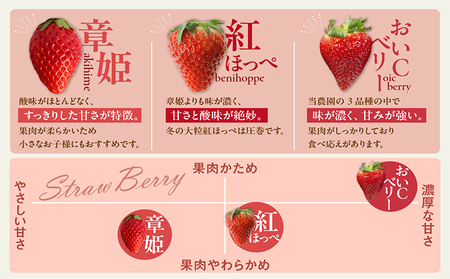 2～3品種の苺を食べ比べ！いちご狩り体験【4月6日まで】大人1名分　いちご 苺 イチゴ ストロベリー いちご狩り 苺狩り レジャー お出かけ 体験 春休み 旅行 家族 いちごろ farmいちごろ 愛知県 常滑市