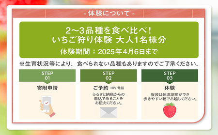 2～3品種の苺を食べ比べ！いちご狩り体験【4月6日まで】大人1名分　いちご 苺 イチゴ ストロベリー いちご狩り 苺狩り レジャー お出かけ 体験 春休み 旅行 家族 いちごろ farmいちごろ 愛知県 常滑市
