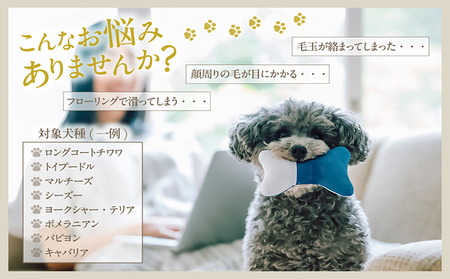 ペット用トリミングシザー　メガネハンドル ハサミ はさみ シザー ペット用品 ペットトリミング トリミング 理美容 カット 一般向け ペット 動物 忠圀鋏製作所 愛知県 常滑市