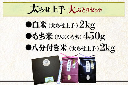 【お歳暮 外熨斗対応可能】大ぶとりセット【太らせ上手（白米＋もち米＋八分付き）】お米 米 あいちのかおり おにぎり お弁当 玄米 米粉 グルテンフリー パン作り お菓子作り