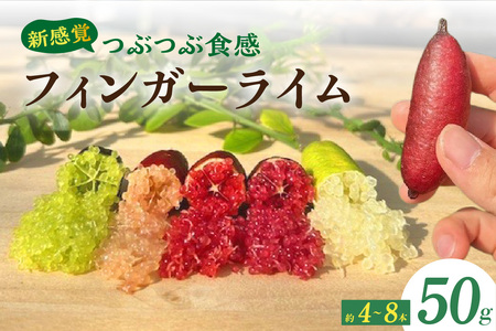 新感覚つぶつぶ食感！フィンガーライム　50ｇ（約4～8本）フルーツ 果物 国産 柑橘 フルーツキャビア 森のキャビア デザート 希少 鈴園 愛知県 常滑市