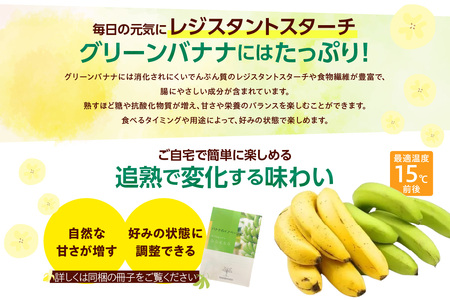 グリーンバナナ(ななばなな)1kg | バナナ ばなな フルーツ 果物 グリーンバナナ 緑バナナ 追熟 南国 産地直送 常滑市産 愛知県産 国内産 健康 就労支援 農業 アスナロファーム 愛知県 常滑市