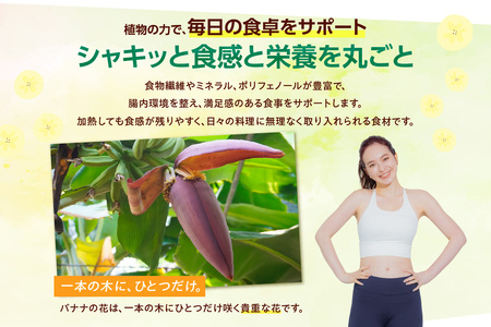 バナナの花　1個（300g以上） | バナナ ばなな 花 果物 フルーツ バナナハート 貴重 南国 産地直送 常滑市産 愛知県産 国内産 健康 就労支援 農業 アスナロファーム 愛知県 常滑市