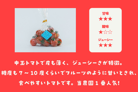 【先行予約】【5月中旬以降発送】フルーツトマト 中玉フルティカ1kg
