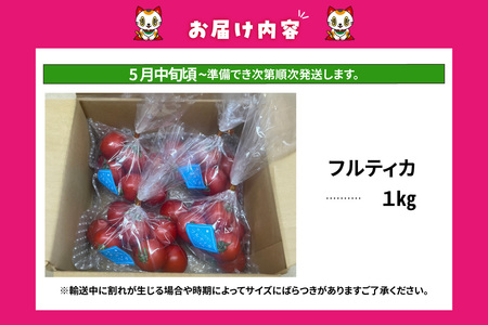 【先行予約】【5月中旬以降発送】フルーツトマト 中玉フルティカ1kg