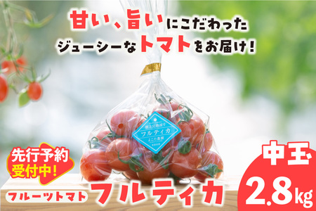 【先行予約】【5月中旬以降発送】フルーツトマト　中玉フルティカ2.8kg