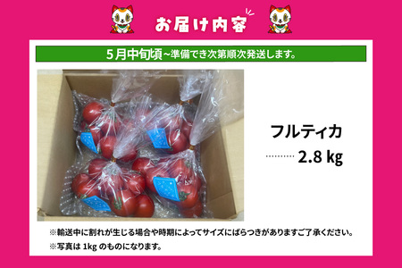 【先行予約】【5月中旬以降発送】フルーツトマト　中玉フルティカ2.8kg