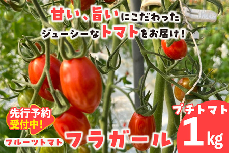 【先行予約】【5月中旬以降発送】フルーツトマト　フラガール1kg（へたなし）