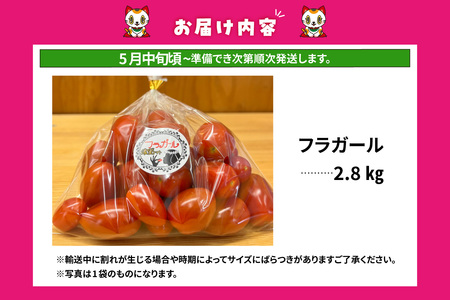【先行予約】【5月中旬以降発送】フルーツトマト フラガール2.8kg(へたなし)