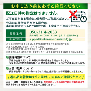 【先行予約】養液栽培メロン「璻」1玉【Standard】（糖度12度以上、重さ1.3㎏以上）