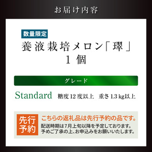 【先行予約】養液栽培メロン「璻」1玉【Standard】（糖度12度以上、重さ1.3㎏以上）