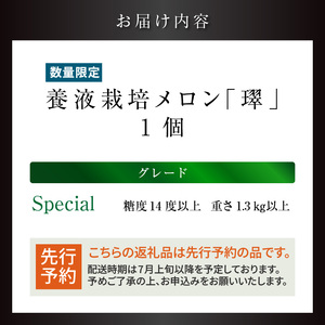 【先行予約】養液栽培メロン「璻」1玉【Special】(糖度14度以上、重さ1.3㎏以上)【熨斗対応可能】