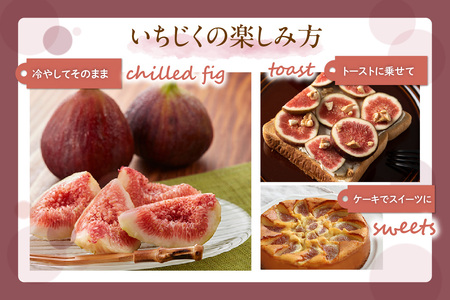 【先行予約】ふんわり柔らか朝どり完熟いちじく