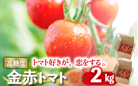 トマト好きが、恋をする。　1kg×2　金赤トマトミニ