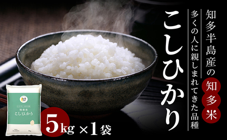 知多米 こしひかり 1袋(5kg) 白米 コシヒカリ 農協 精米 ブランド米 米 おこめ ライス 国産 美味しいお米 うるち精米 食品 ご飯 朝ごはん  朝食 お取り寄せ 国産 愛知県 常滑市 | 愛知県常滑市 | ふるさと納税サイト「ふるなび」