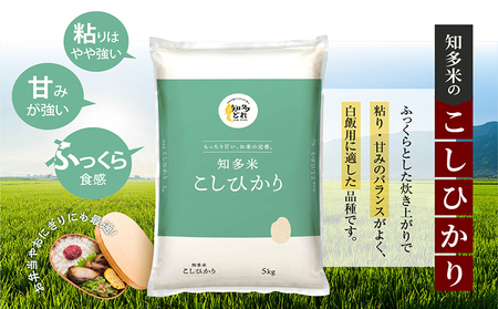 知多米 こしひかり 1袋(5kg) 白米 コシヒカリ 農協 精米 ブランド米 米 おこめ ライス 国産 美味しいお米 うるち精米 食品 ご飯 朝ごはん  朝食 お取り寄せ 国産 愛知県 常滑市 | 愛知県常滑市 | ふるさと納税サイト「ふるなび」