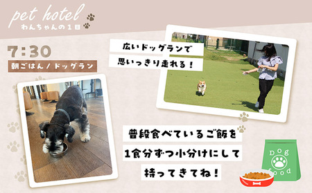 【海を一望できるドッグラン 利用チケット】ホテル ミニ1泊2日 犬 ペット ペットホテル 犬用ホテル 超小型犬 小型犬 dog わんちゃん 愛犬 イヌ 宿泊 ドッグラン 常滑市 空港に近い 飼い主 体験チケット 1頭 1泊 愛知県 常滑市