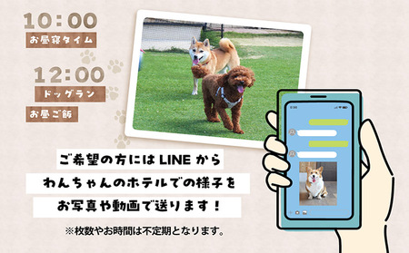 【海を一望できるドッグラン 利用チケット】ホテル ミニ1泊2日 犬 ペット ペットホテル 犬用ホテル 超小型犬 小型犬 dog わんちゃん 愛犬 イヌ 宿泊 ドッグラン 常滑市 空港に近い 飼い主 体験チケット 1頭 1泊 愛知県 常滑市