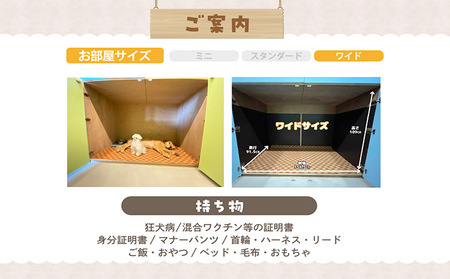 【海を一望できるドッグラン 利用チケット】ホテル ワイド2頭 1泊2日 犬 ペット ペットホテル 犬用ホテル 超小型犬 小型犬 中型犬 dog わんちゃん 愛犬 イヌ 宿泊 ドッグラン 常滑市 空港に近い 飼い主 体験チケット 2頭 2匹 1泊 愛知県 常滑市