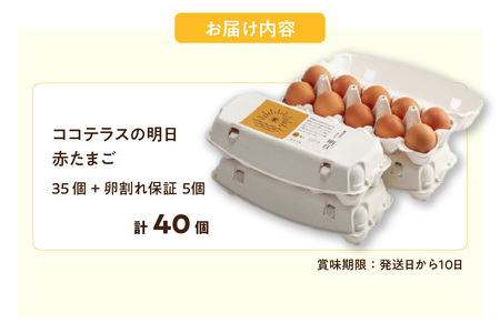 ココテラスの明日（赤たまご）35個+5個保証（計40個）【JGAP認証】 農家直送 新鮮 卵 タマゴ 赤卵 玉子 鶏卵 朝食 夕食 夜食 朝ごはん たまご焼き オムレツ 卵ご飯 料理 濃厚 飼料にこだわった 卵かけご飯 米たまご 生卵 大容量 お取り寄せ 愛知県 常滑市