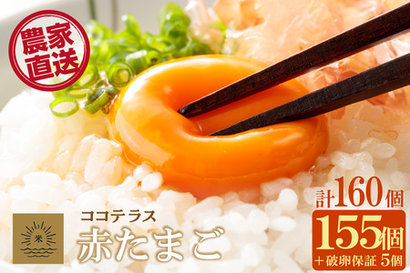 ココテラスの明日（赤たまご）155個+5個保証（計160個）【JGAP認証】 農家直送 新鮮 卵 タマゴ 赤卵 玉子 鶏卵 朝食 夕食 夜食 朝ごはん たまご焼き オムレツ 卵ご飯 料理 濃厚 飼料にこだわった 卵かけご飯 米たまご 生卵 大容量 お取り寄せ 愛知県 常滑市