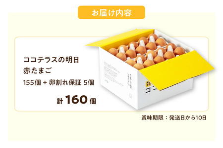 ココテラスの明日（赤たまご）155個+5個保証（計160個）【JGAP認証】 農家直送 新鮮 卵 タマゴ 赤卵 玉子 鶏卵 朝食 夕食 夜食 朝ごはん たまご焼き オムレツ 卵ご飯 料理 濃厚 飼料にこだわった 卵かけご飯 米たまご 生卵 大容量 お取り寄せ 愛知県 常滑市