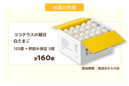 ココテラスの朝日(白たまご)155個 + 5個保証(計160個)【JGAP認証】 農家直送 新鮮 卵 タマゴ 白卵 玉子 鶏卵 朝食 夕食 夜食 朝ごはん たまご焼き だし巻き卵 オムレツ 卵ご飯 料理 濃厚 飼料にこだわった 卵かけご飯 米たまご 生卵 大容量 お取り寄せ 愛知県 常滑市