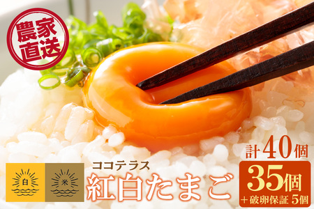 ココテラスの紅白たまご 35個 + 5個保証（計40個）【JGAP認証】 農家