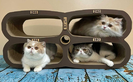 猫の爪とぎ　にゃん莊アパート（部屋番号付） 猫 ねこ ネコ キャット cat 爪とぎ ダンボール 段ボール かわいい アパート 多頭飼い 4部屋 写真映え 丈夫 日本製 国産 おもちゃ ペット インテリア 愛猫 動物 猫用品 猫用玩具 グッズ 愛猫へプレゼント ペット用品 愛知県 常滑市