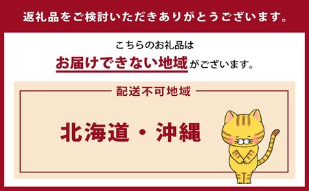 猫の爪とぎ　富士にゃん（カラー：黄） 猫 ねこ ネコ キャット cat 爪とぎ ダンボール 段ボール かわいい 富士山 クラフト 写真映え 丈夫 日本製 国産 おもちゃ ペット インテリア 愛猫 動物 猫用品 猫用玩具 グッズ 愛猫へプレゼント ペット用品 愛知県 常滑市