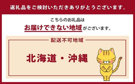 迷彩柄】猫の爪とぎ ステップトンネル | 愛知県常滑市 | ふるさと納税