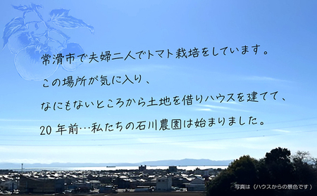 【先行予約】【2025年3月から順次発送】尾州常滑フルーツトマト トマト フルーツトマト リコピン 新鮮野菜 太陽の恵み 濃厚 完熟 トマト料理 トマト鍋 愛知県産 国産 お取り寄せ グルメ 愛知県 常滑