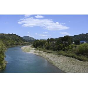 有機煎茶　のどか　80g×3本入【1540796】