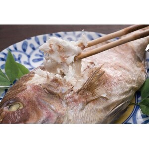 活鯛めでたい焼　1尾【配送不可地域：離島】【1544344】