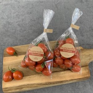 ハレノヒトマト　120g×4袋【配送不可地域：離島】【1567799】