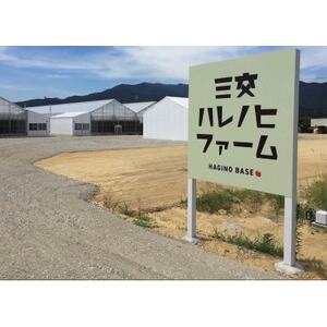 ハレノヒトマト　120g×4袋【配送不可地域：離島】【1567799】