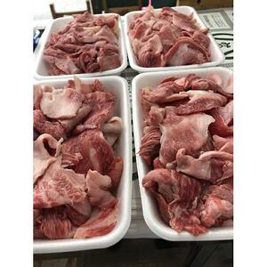 牛すじ1600ｇ《近江牛A5ランクメス牛みのや精肉店》