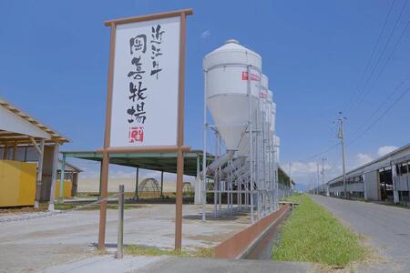 近江牛焼きしゃぶ用・近江牛焼肉用 計400g 食べ比べ