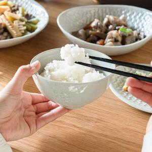 【信楽焼・明山】お茶碗、平皿小セット（月白）ht-2130