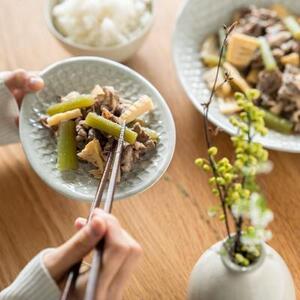 【信楽焼・明山】お茶碗、平皿小セット（月白）ht-2130