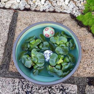 信楽焼 11号はけ目水鉢 メダカ鉢 金魚鉢